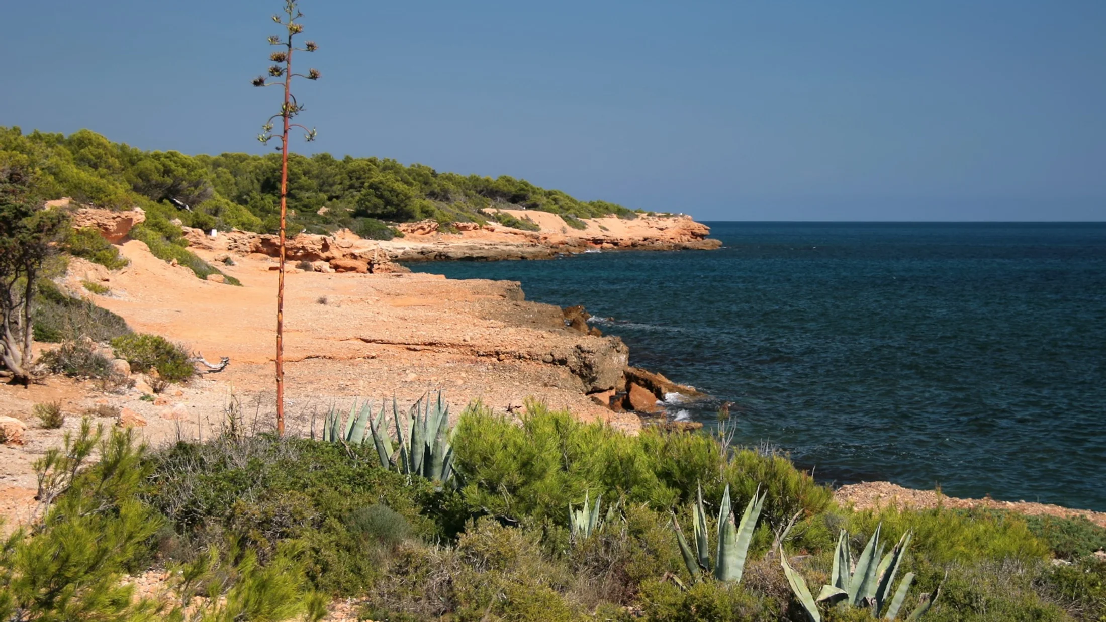 Imagen de Región: cmnxqcmiv0084hd9sg2n956e0