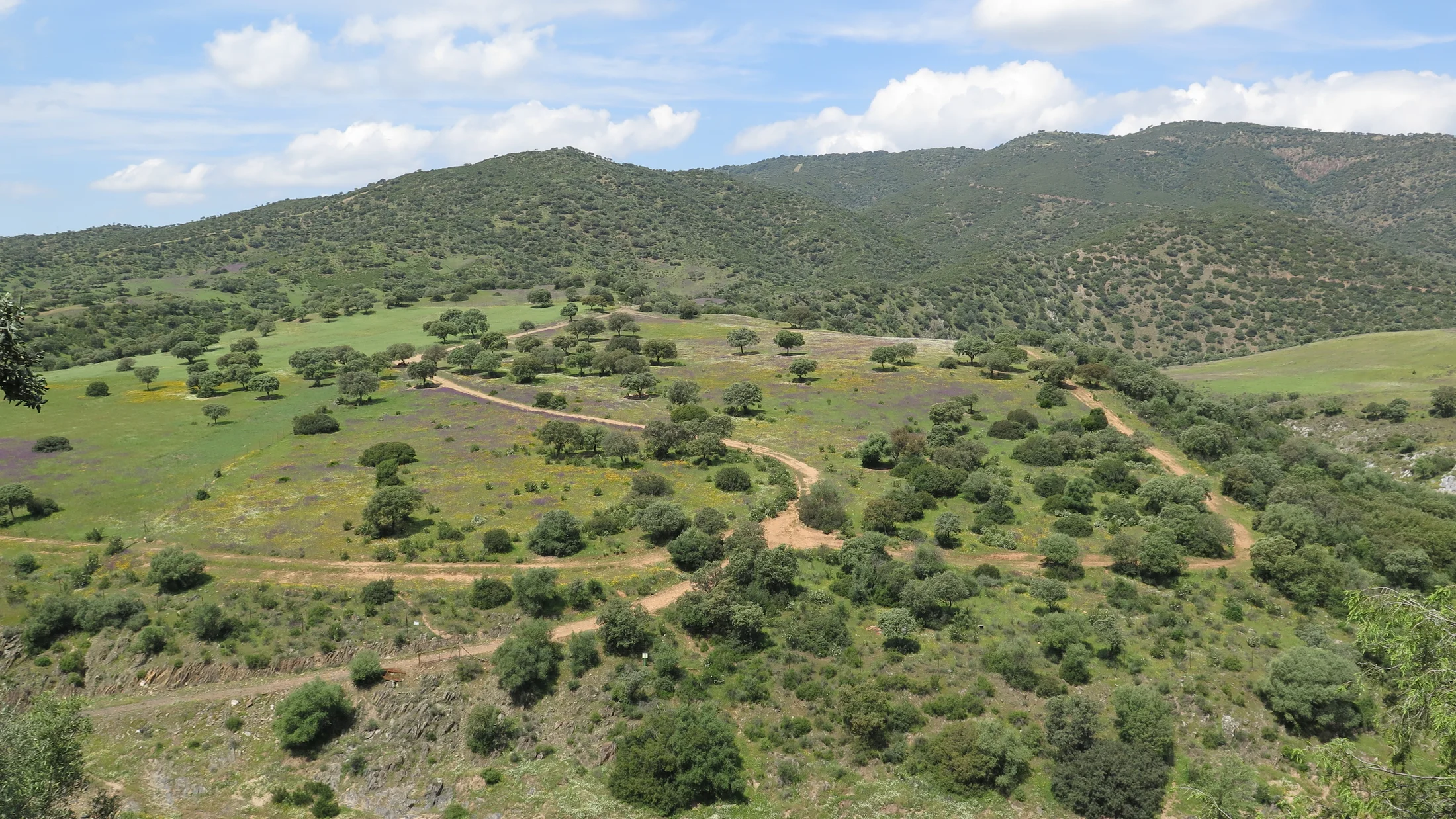 Imagen de Región: cmcnc9cxc0hg9zr5pfoqmvelp