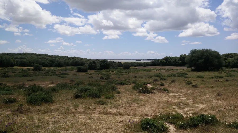 Imagen de Artículo de Blog: Escapadas a menos de 2 horas de Sevilla que no conocías