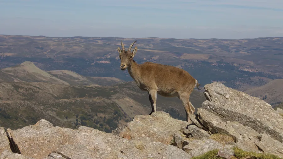 Imagen de Región: cmcj1wlbf0006phyj2qa6n1mq