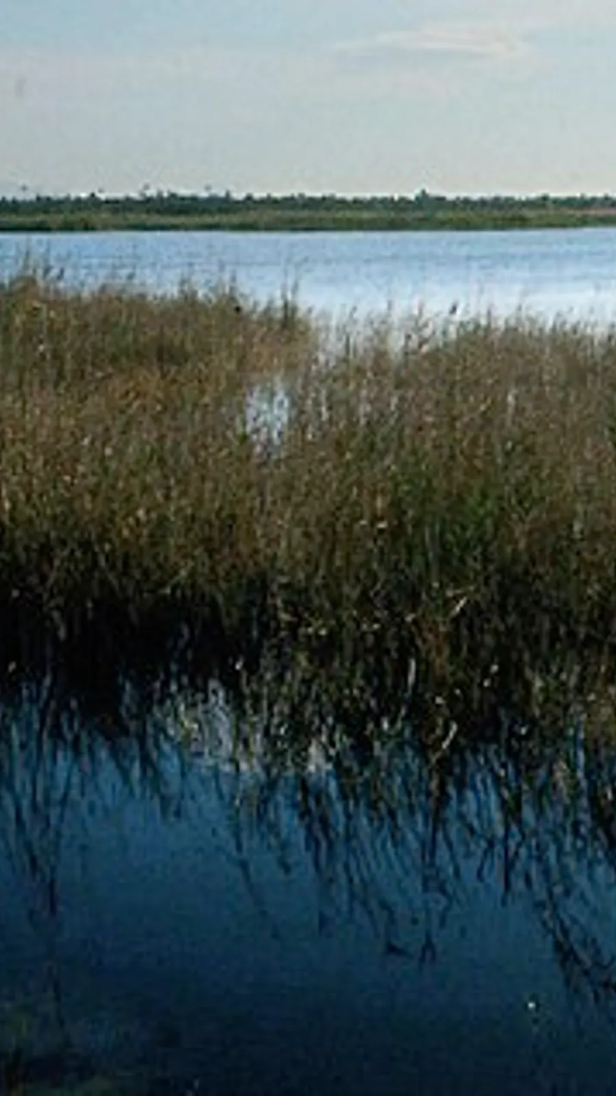 Parque Natural de El Hondo