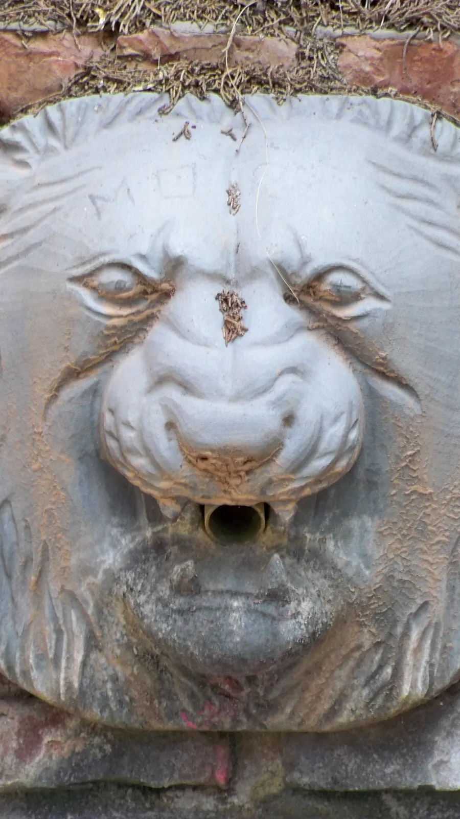 Puerta Oscura Gardens