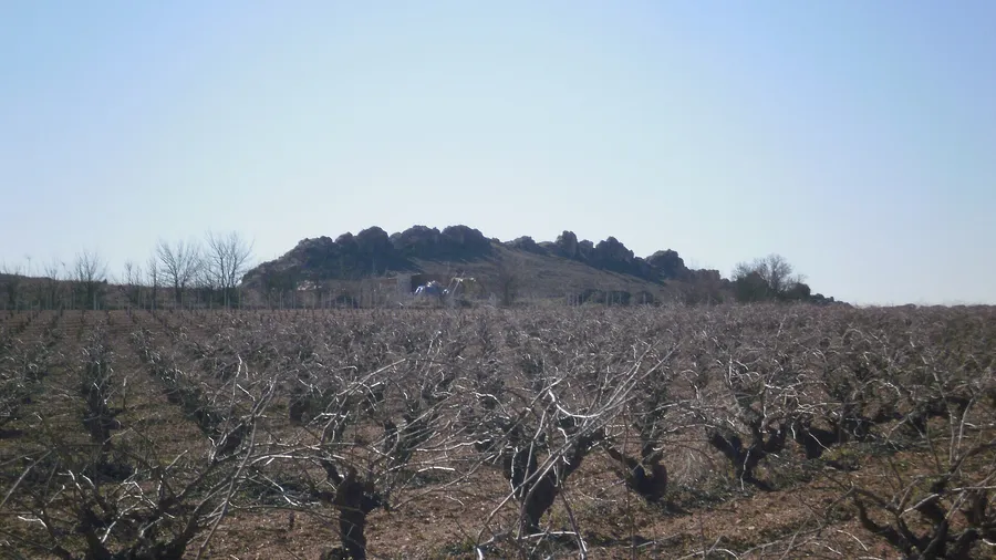 Hotel-Bodega Mainetes: enoturismo a Fuente-Álamo