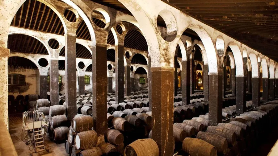 Imagen de Actividad: cmdylqeg3060x2xzhdcndjzmv