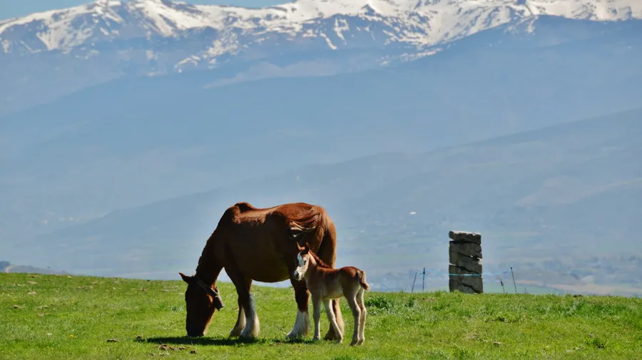 Imagen de Región: cmcja7db90036phyju55xvveh