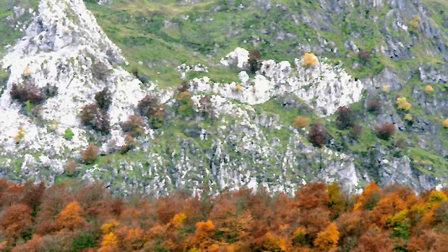 Imagen de Región: cmcjdd34y0051ik8pzeqd9f1t