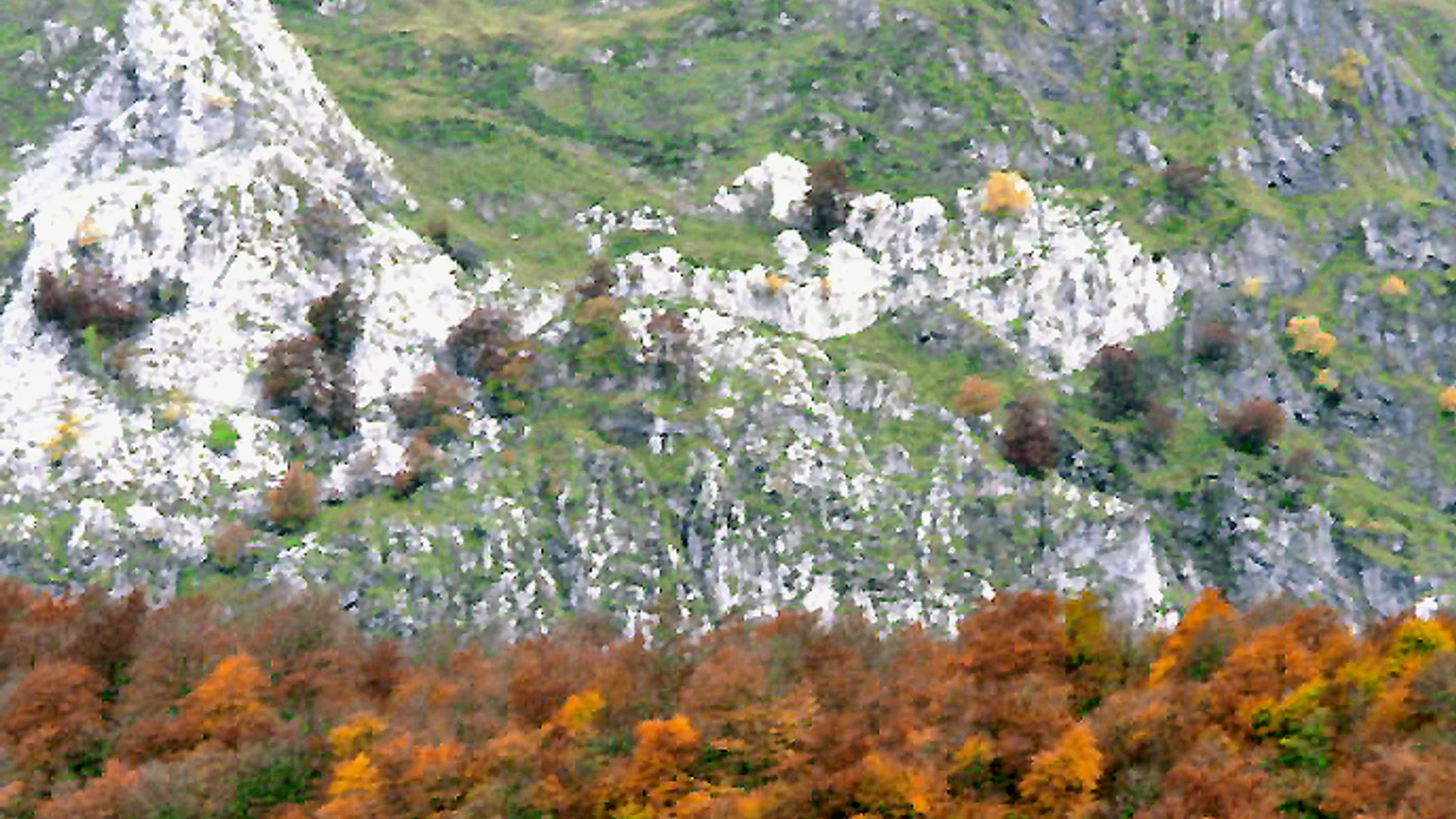 Imagen de Región: cmcjdd34y0051ik8pzeqd9f1t