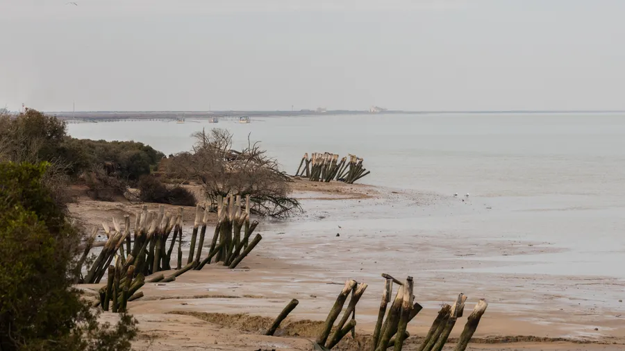 Imagen de Artículo de Blog: 15 surprising facts about Spain's nature