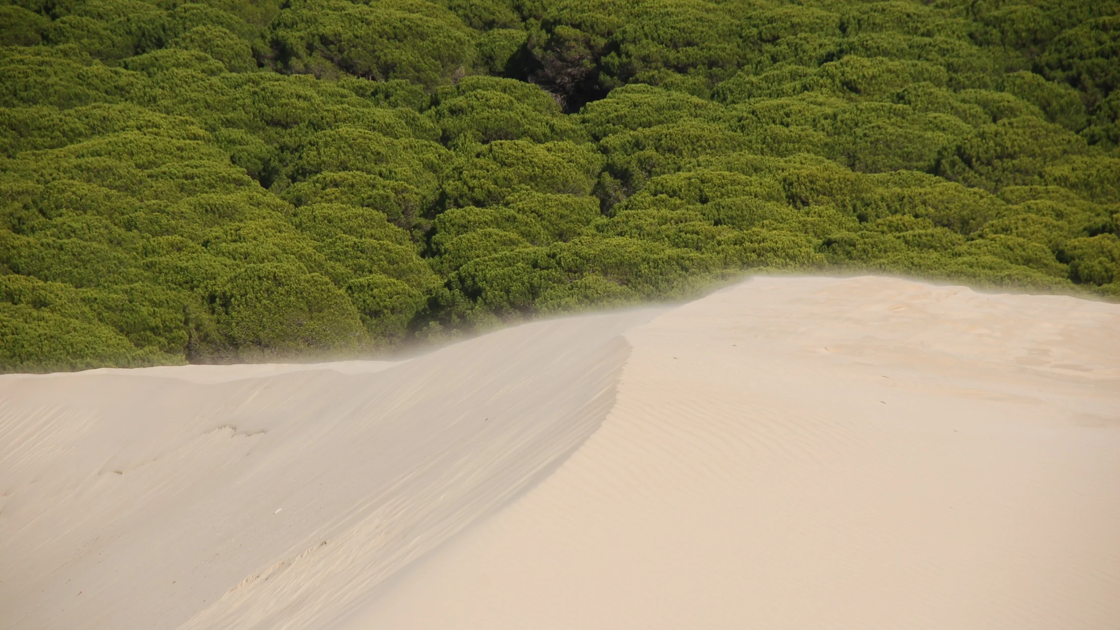 Imagen de Región: cmnxq21vk06w1hx3717rkph4w