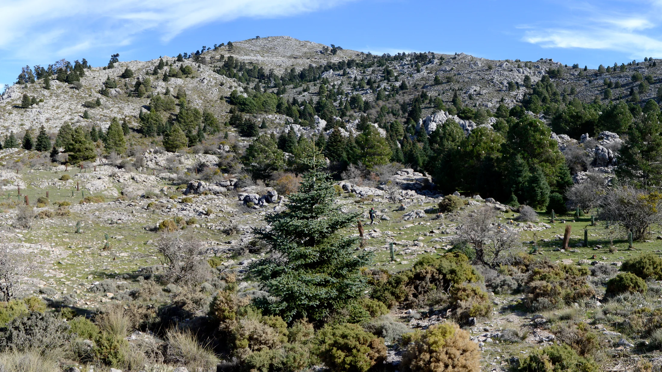 Imagen de Región: cmcjdd06y003xik8p12ini635