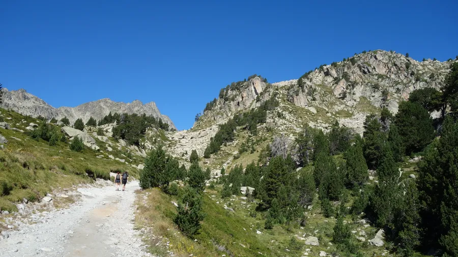 Imagen de Región: cmcjdddya0091ik8p8k4zlpt9