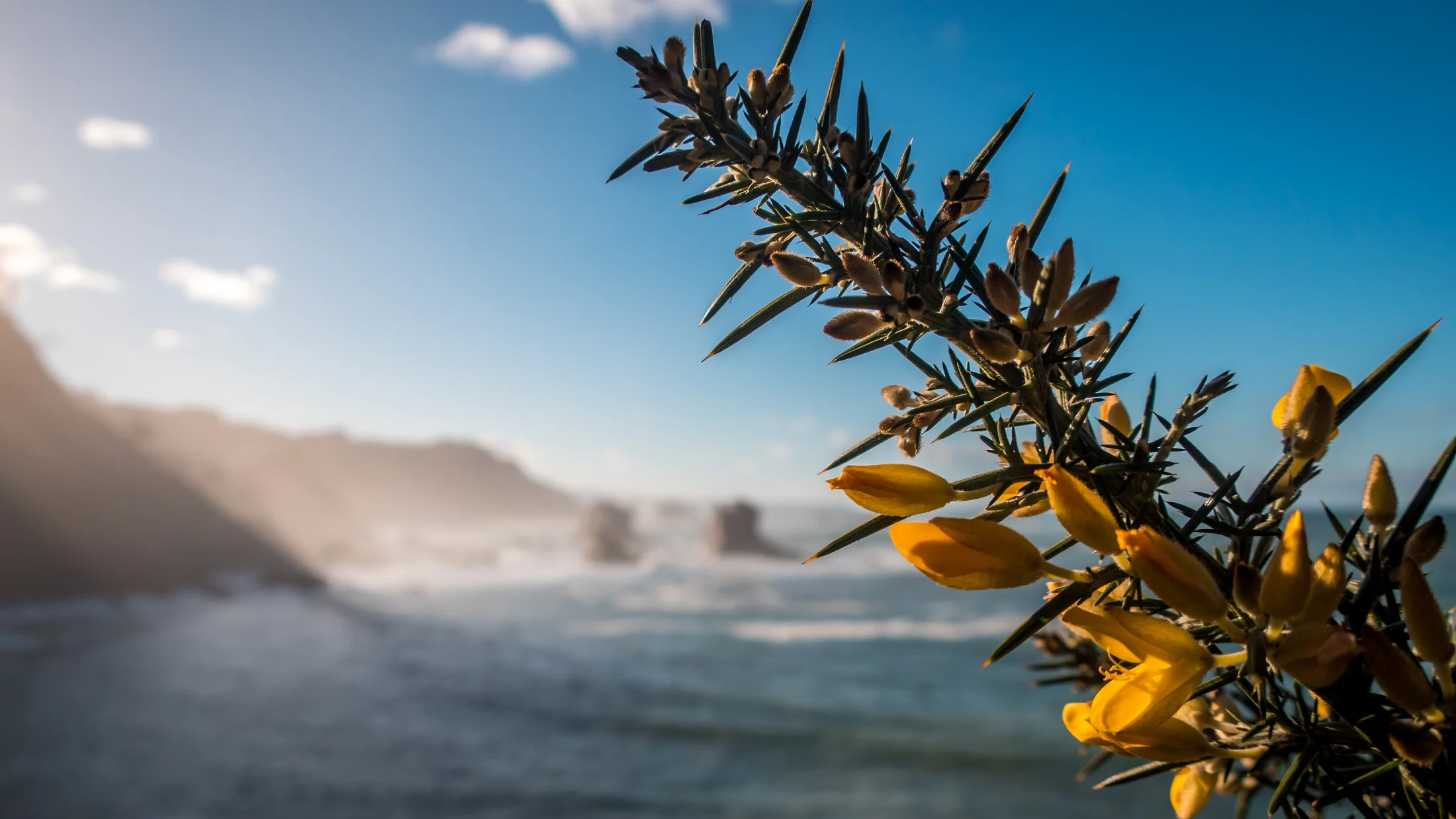 Imagen de Artículo de Blog: cmgz8rcvv008i9i0u15ttpd1s