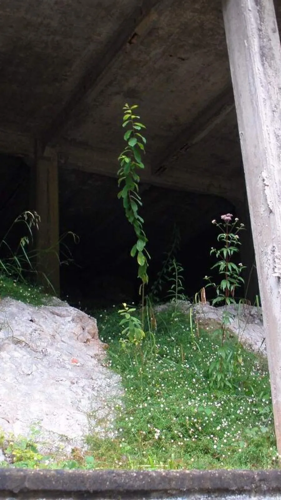 Balneario de las Caldas de Besaya