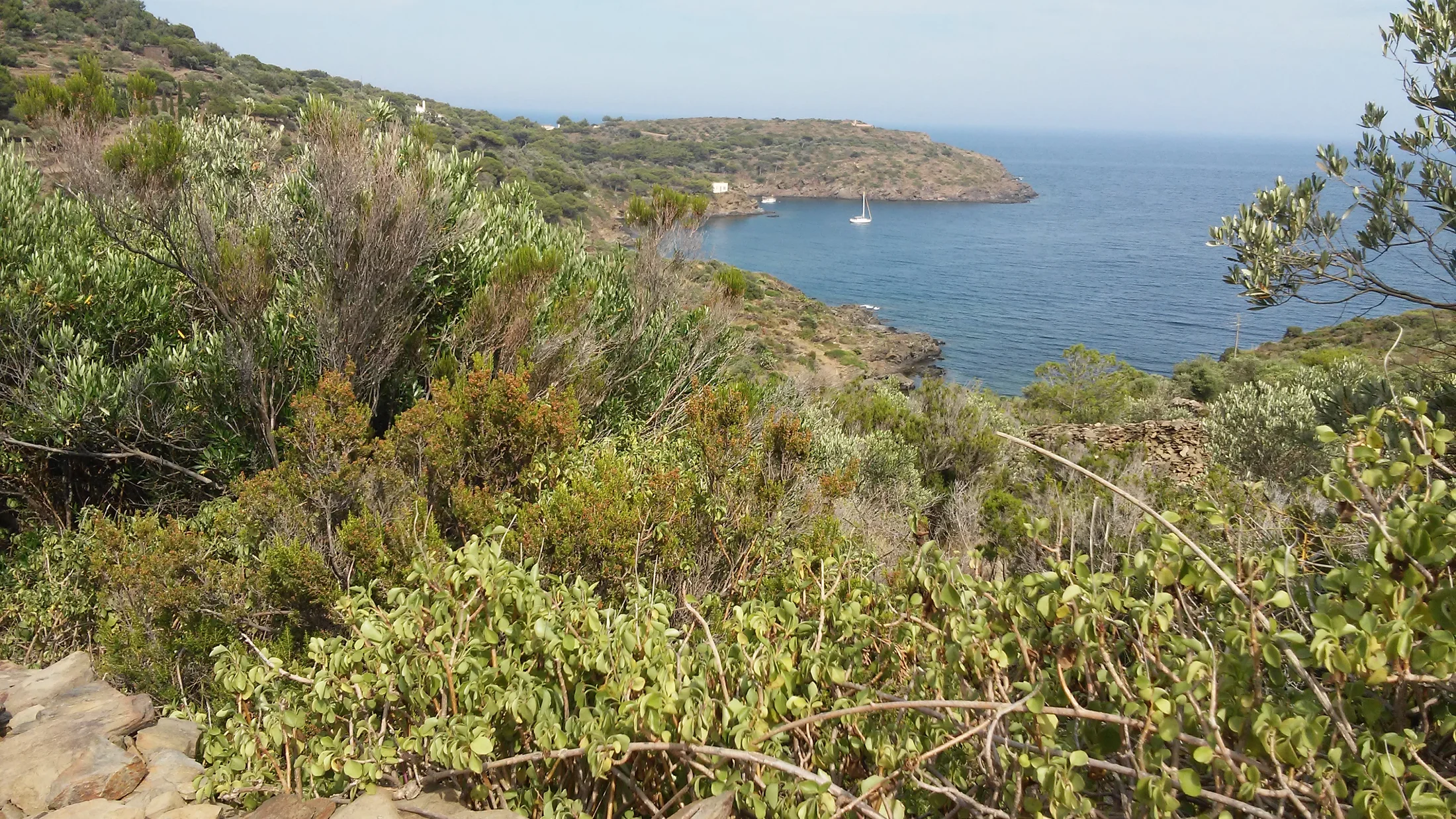 El paisaje salvaje del Cap de Creus, punto más oriental de la península