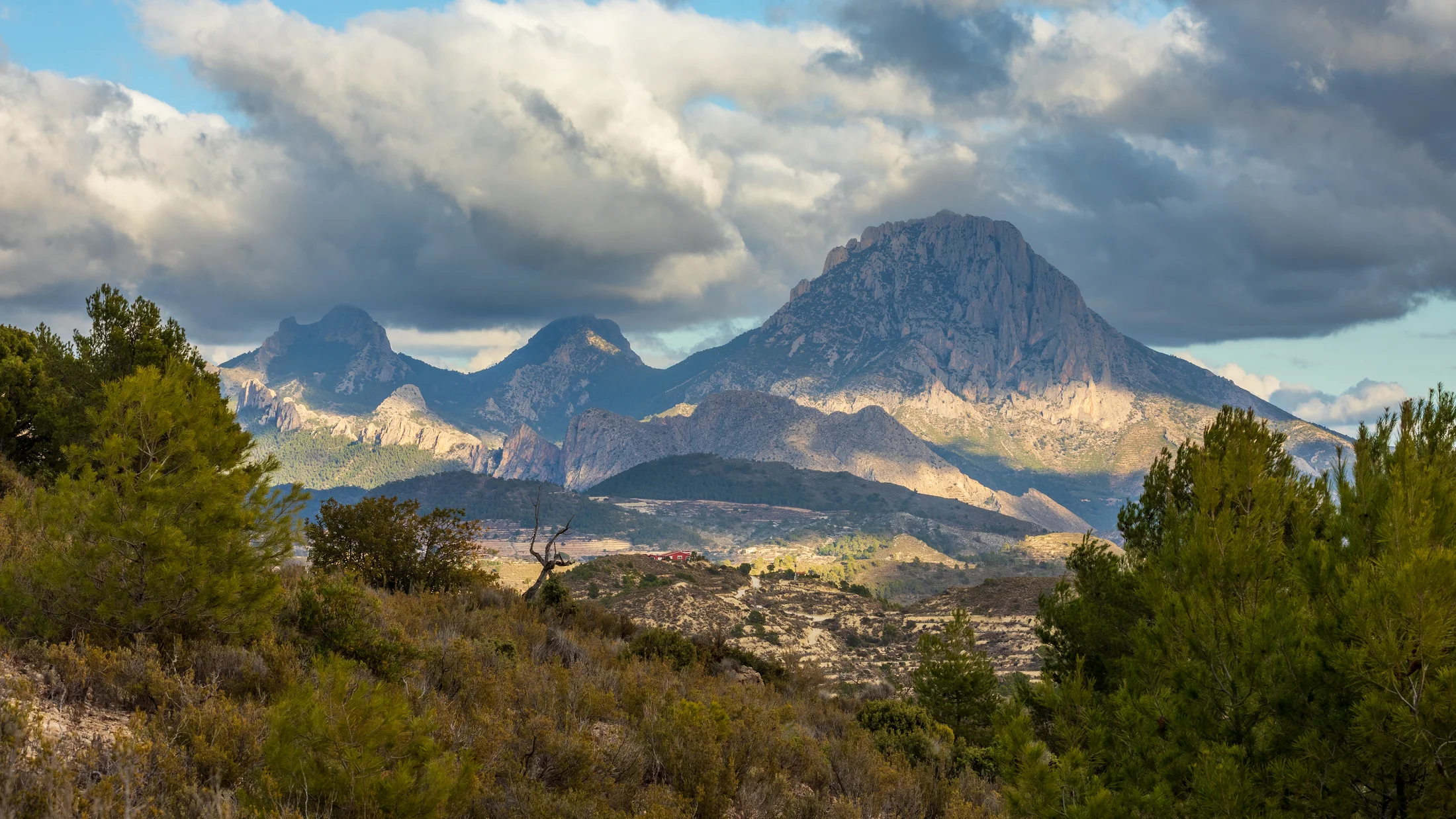 Imagen de Región: cmcjddg10009tik8pfqg78ujo