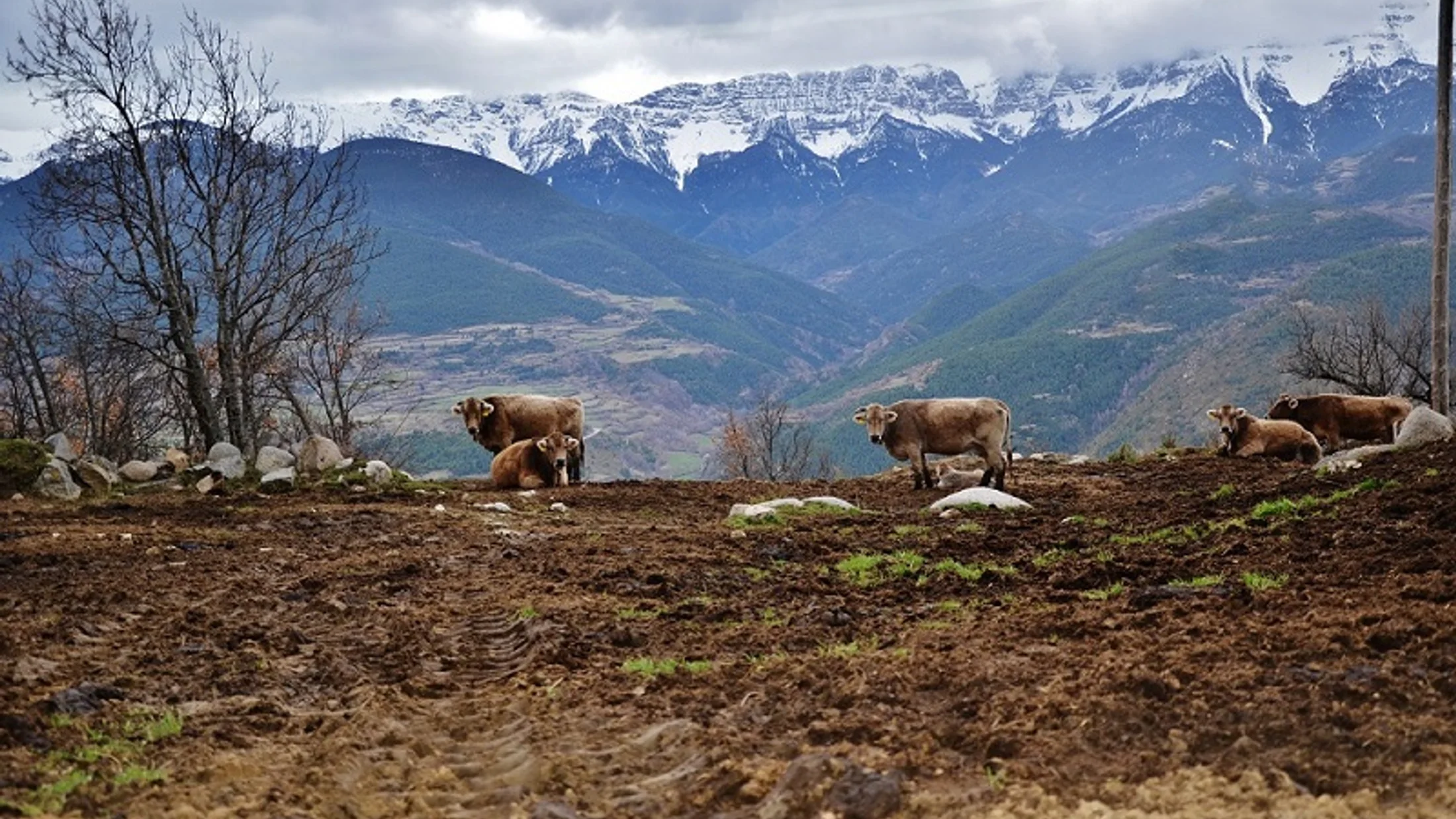 Imagen de Región: cmcja7db90036phyju55xvveh