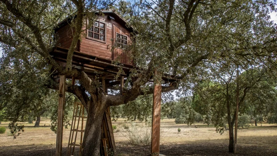 Imagen de Artículo de Blog: Dormir en casas en árbol cerca de Madrid