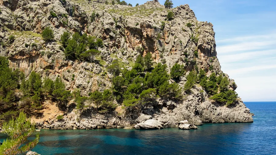 Imagen de Región: cmcncq1do0hyjzr5pwe8ek00r