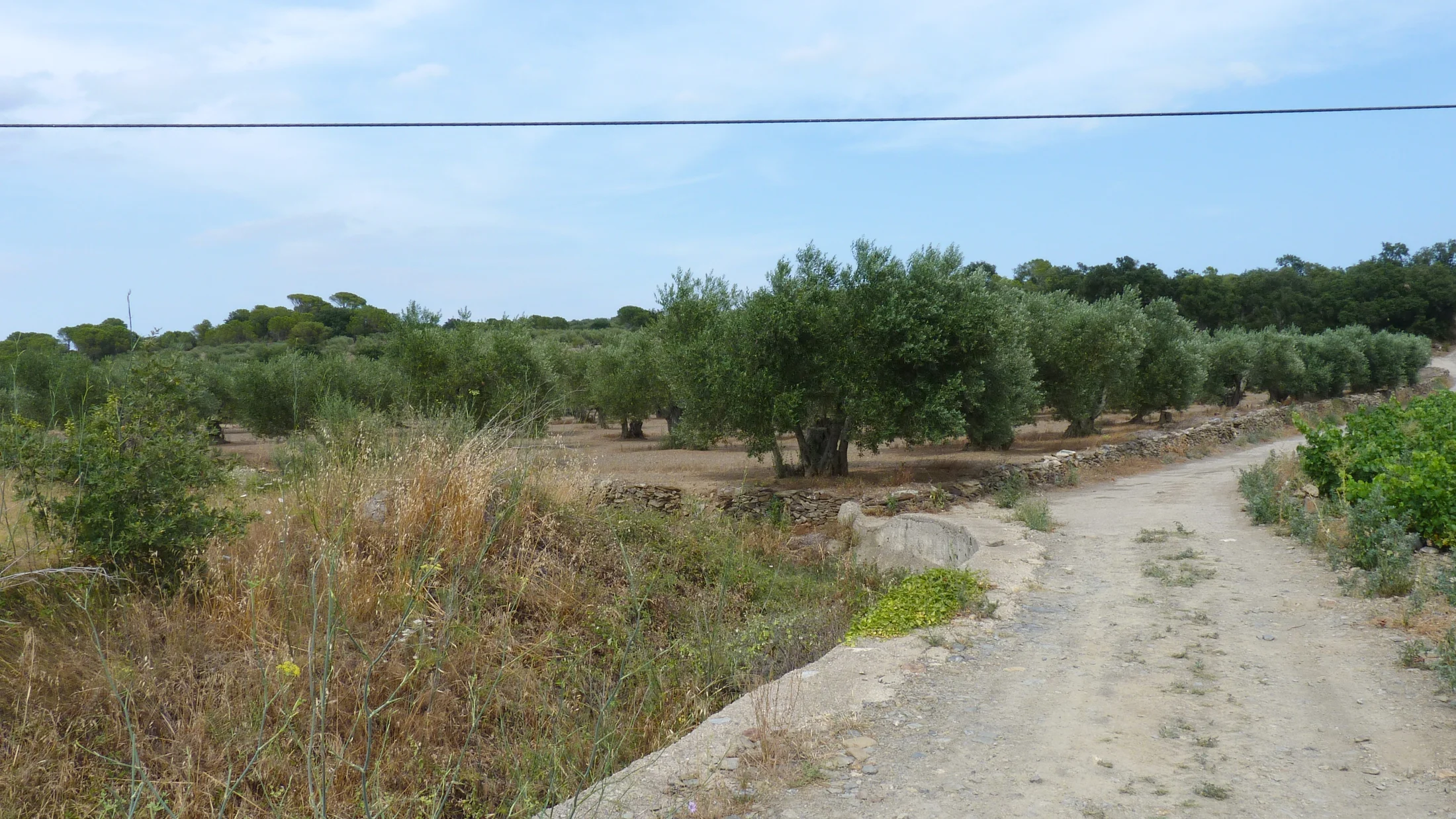 File:Espolla 001.JPG