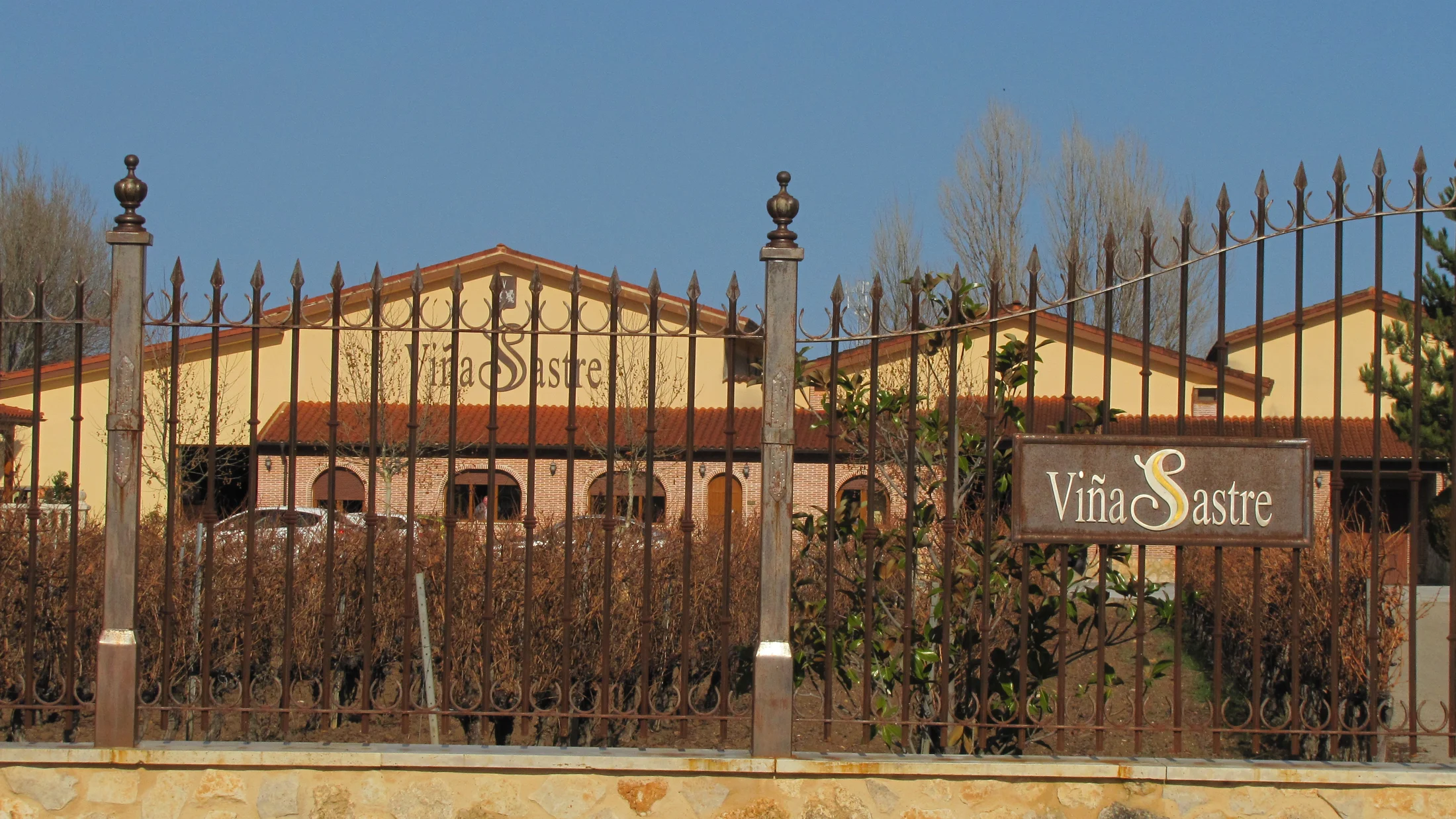 File:Viñedos Bodega Viña Sastre   Hermanos Sastre Ribera del Duero3.JPG