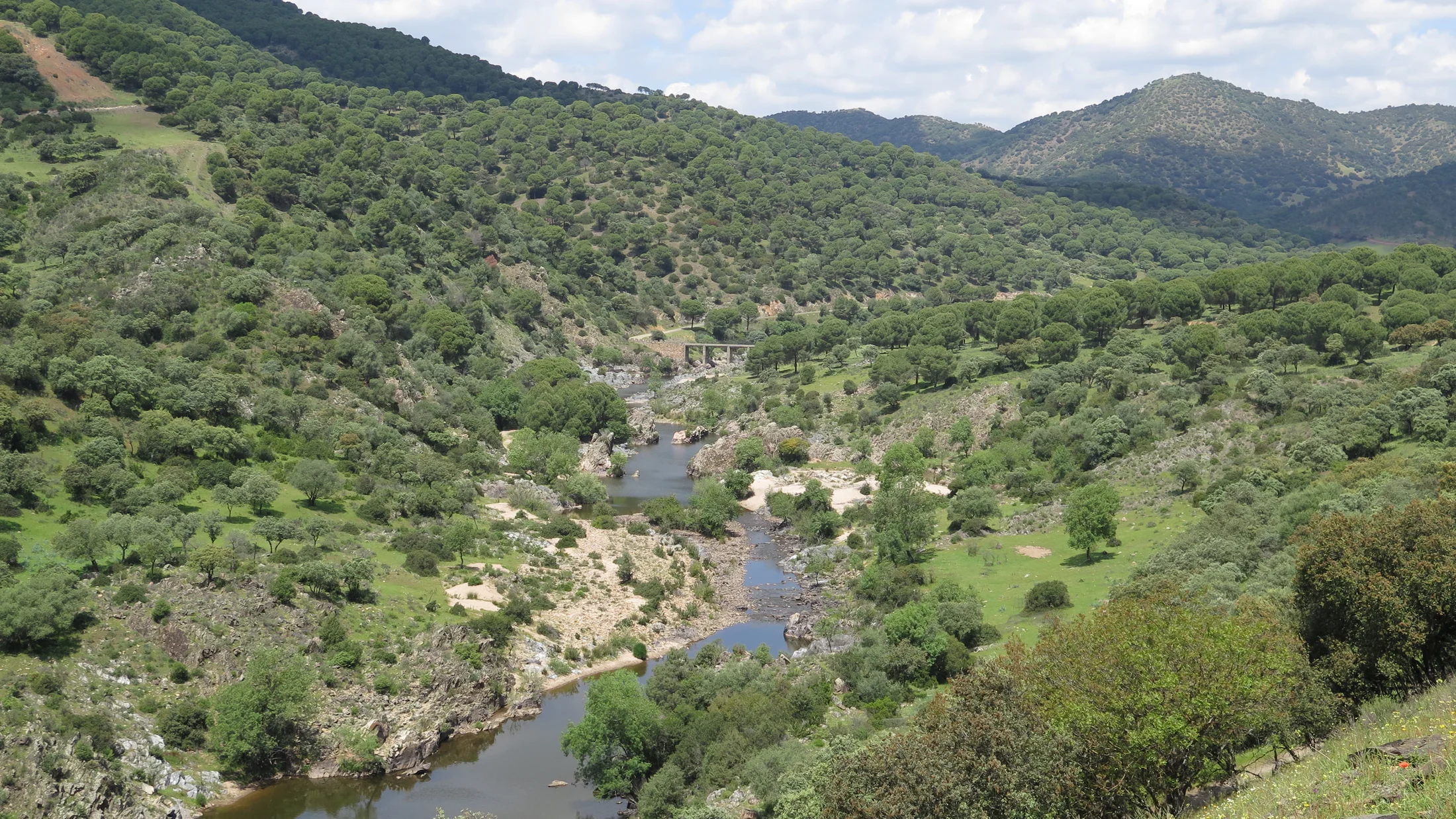 Imagen de Región: cmcnc9cxc0hg9zr5pfoqmvelp