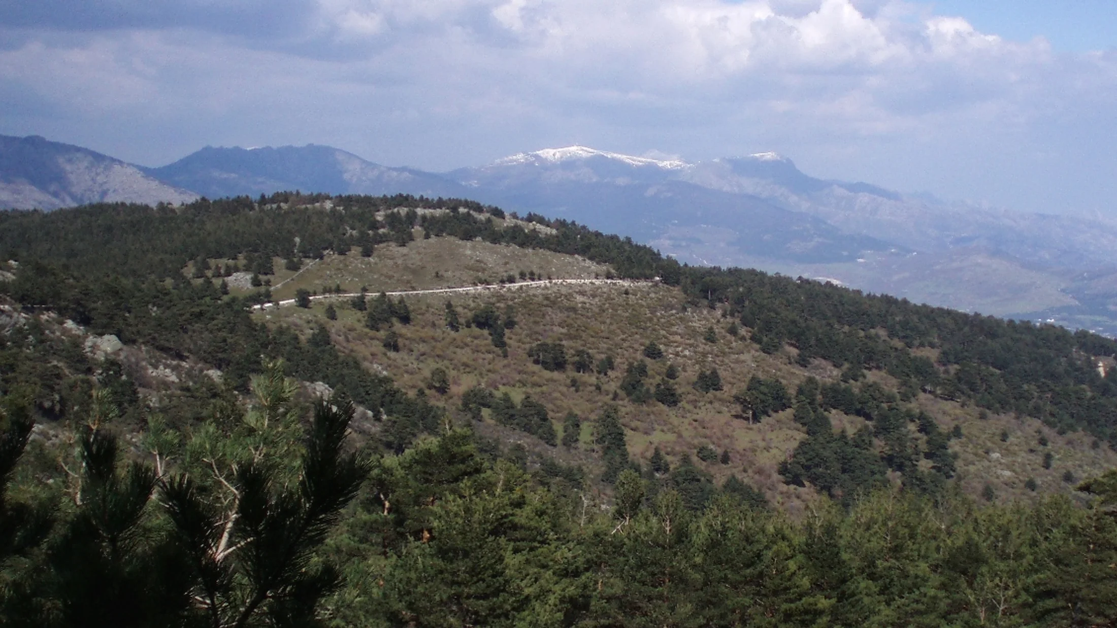 Imagen de Artículo de Blog: cmo4d5squ01em90xekxvvz3ee