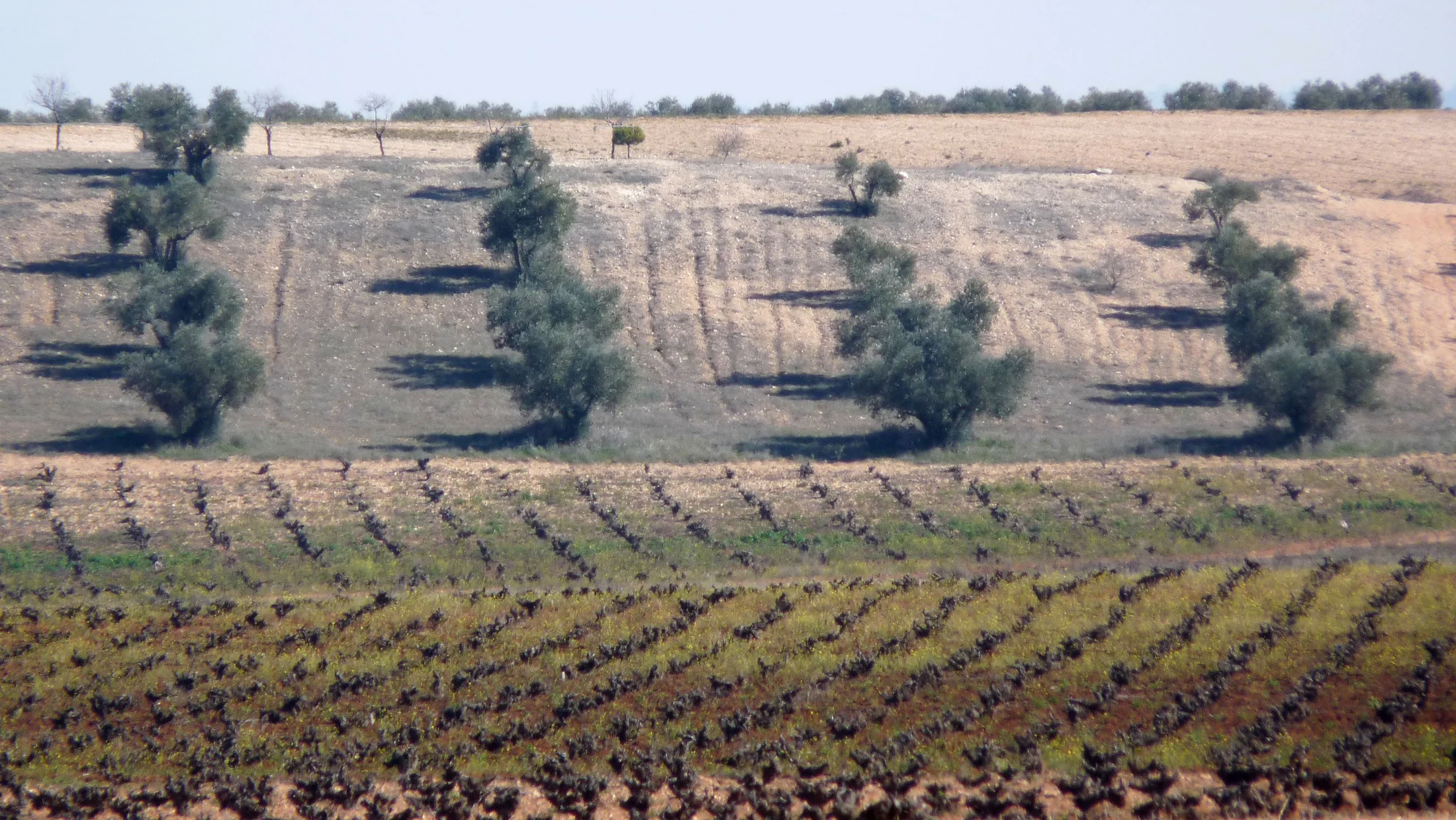 File:Castilla La Mancha 04 (5558697918).jpg