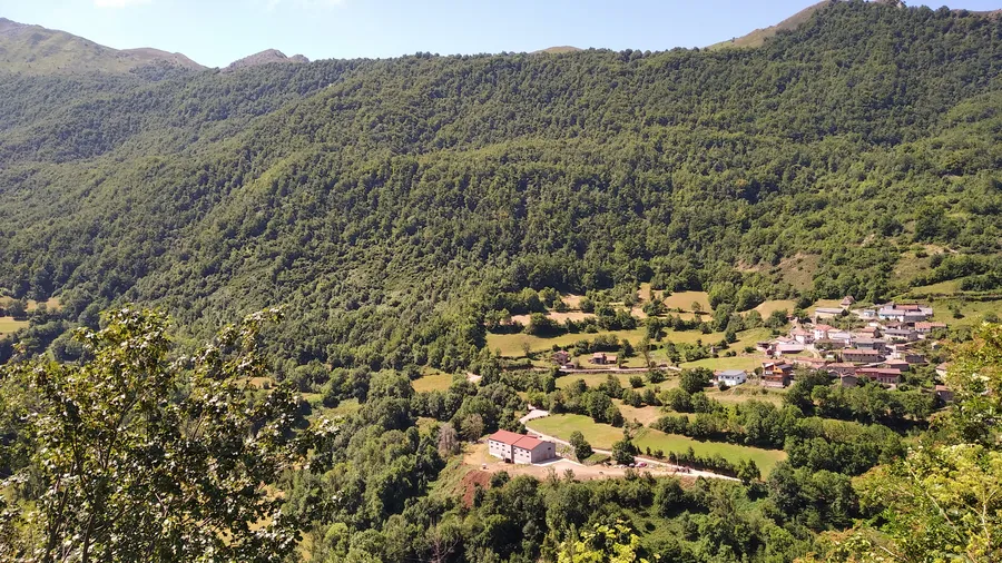 Imagen de Artículo de Blog: Dónde ver osos pardos en libertad: Somiedo, Fuentes del Narcea y Muniellos