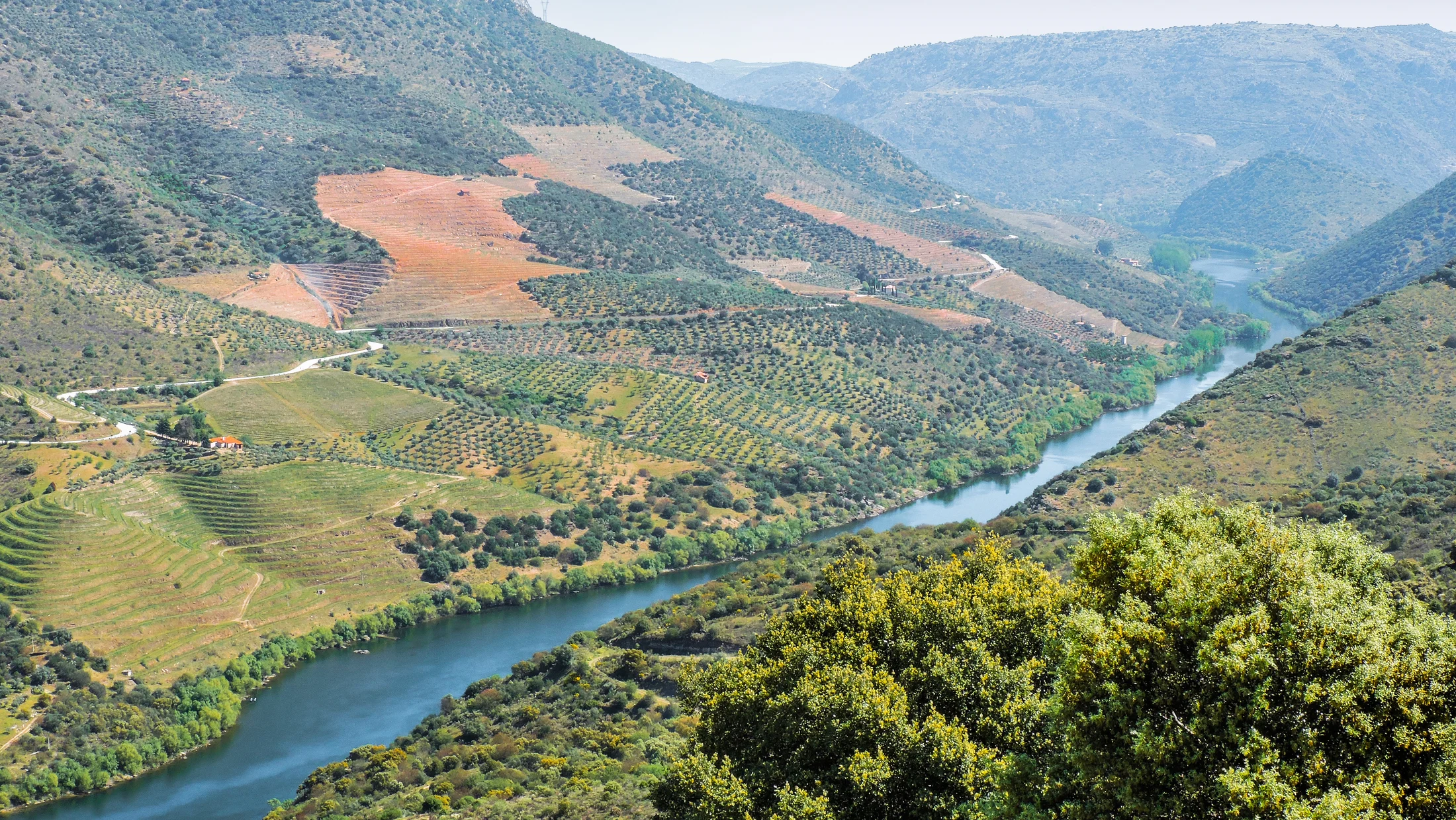 Imagen de Artículo de Blog: cmhxwxd28000xcc87bbyu5l1x