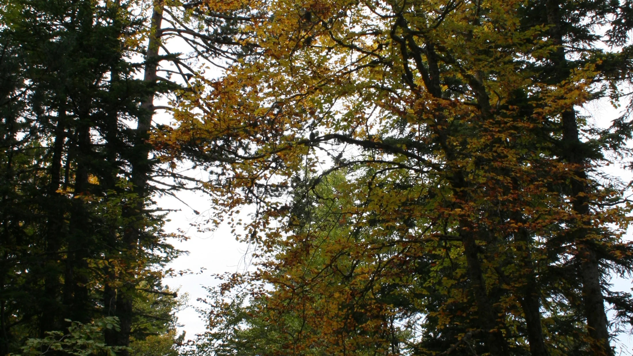 Imagen de Región: cmcncpzqp0hxvzr5pv4cvxadd