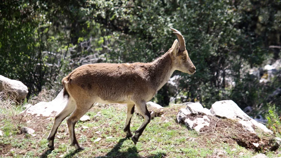 Imagen de Región: cmcnc9cmm0hg5zr5pvu5tbzx4