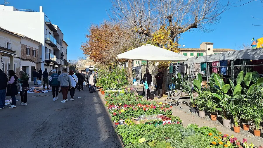 Santa Maria del Camí