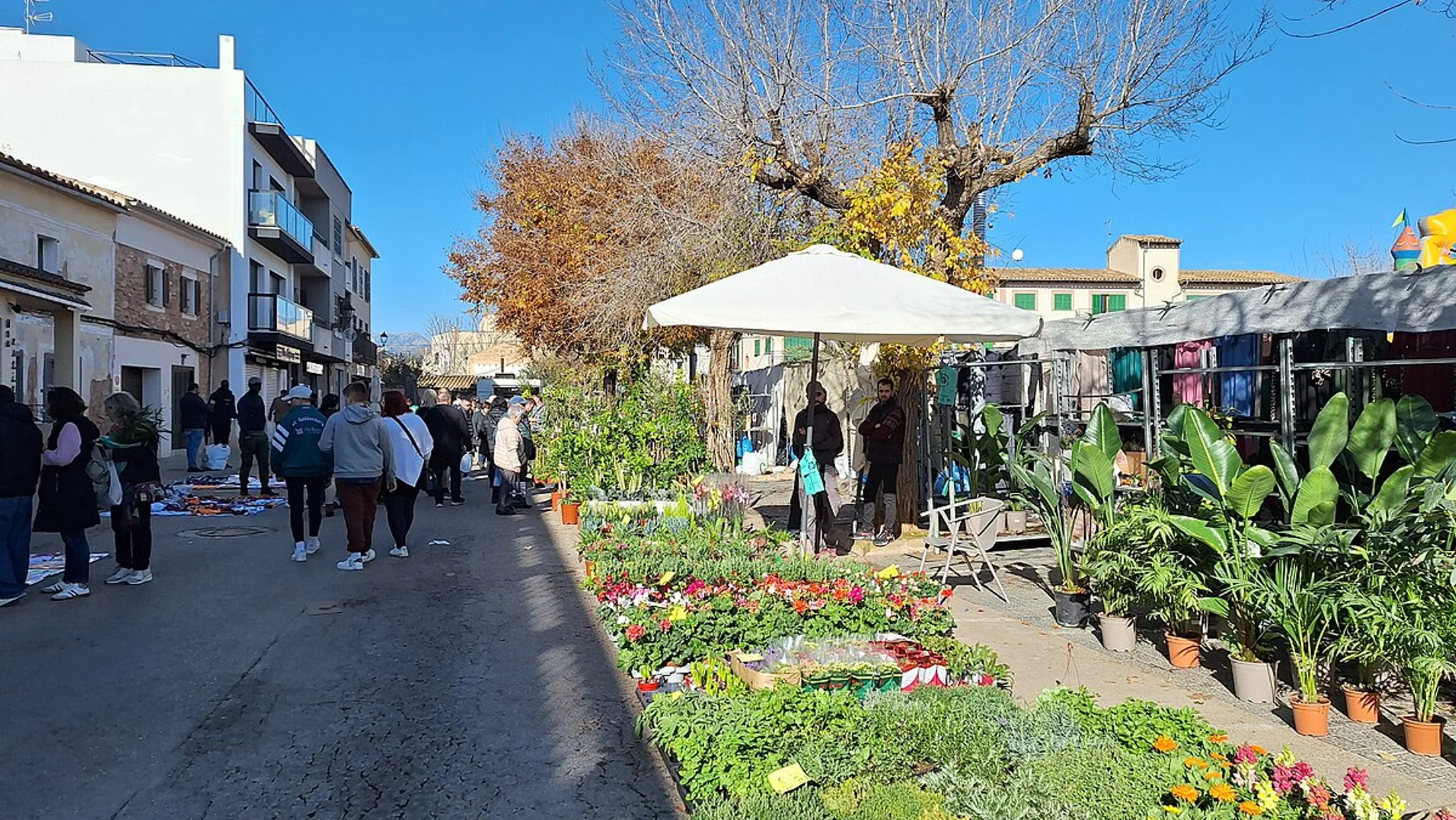 Santa Maria del Camí