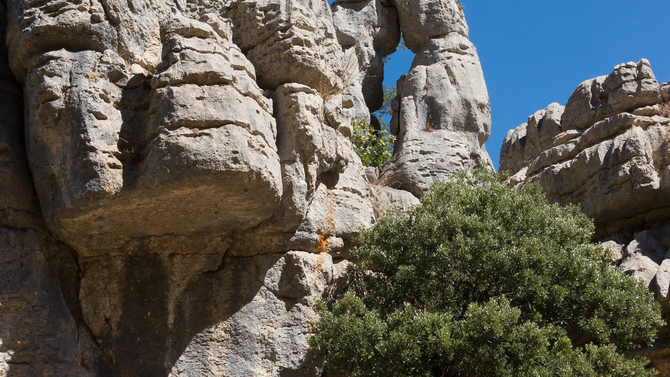 Imagen de Región: cmcjdd0hi0041ik8pu2it28yd