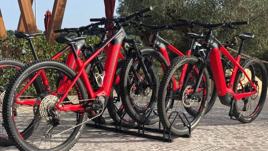 Electric Bike Rental in Sotogrande