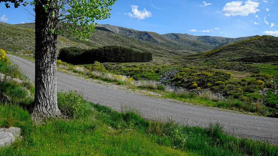 Sierra de Gredos