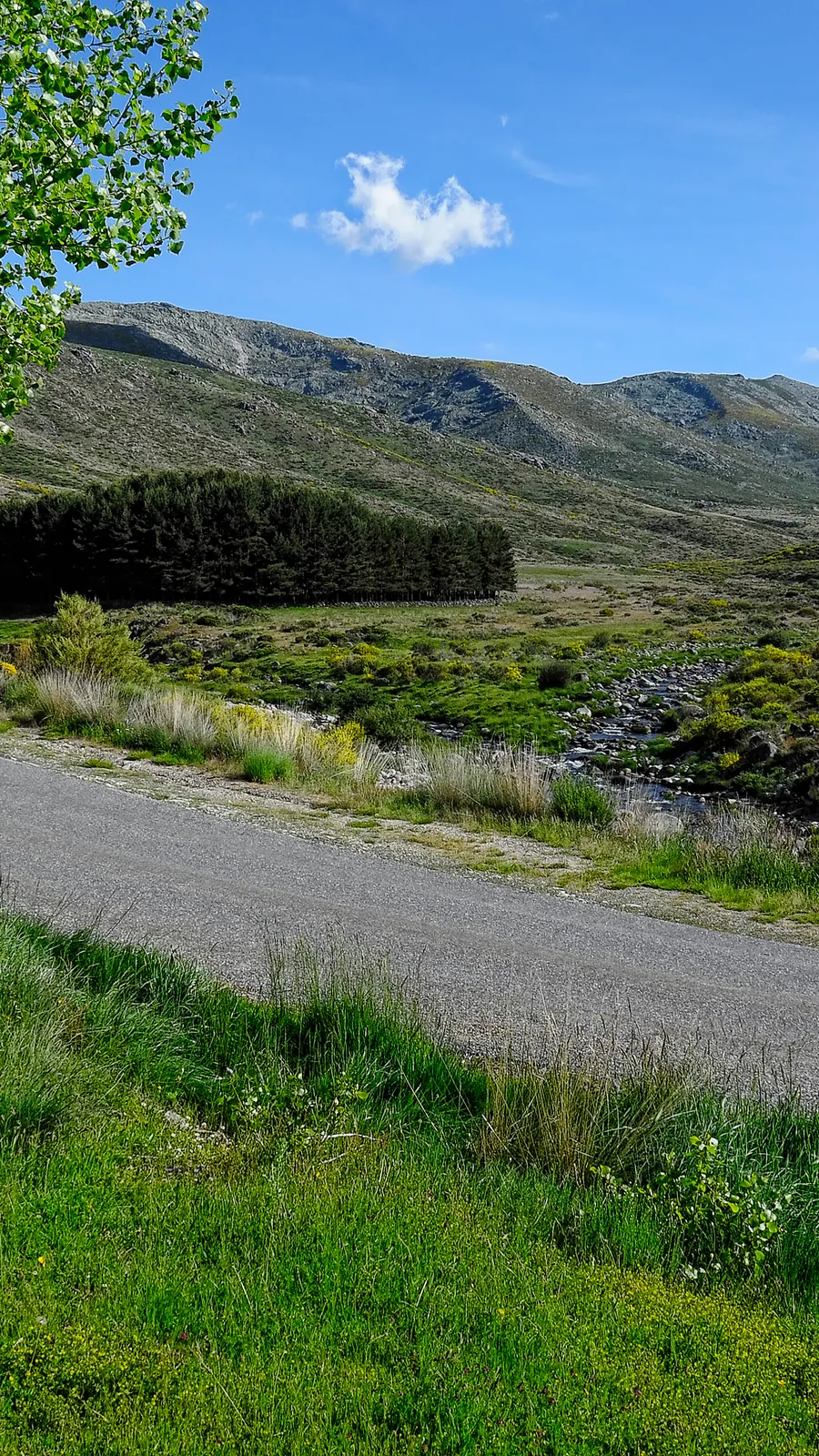 Sierra de Gredos