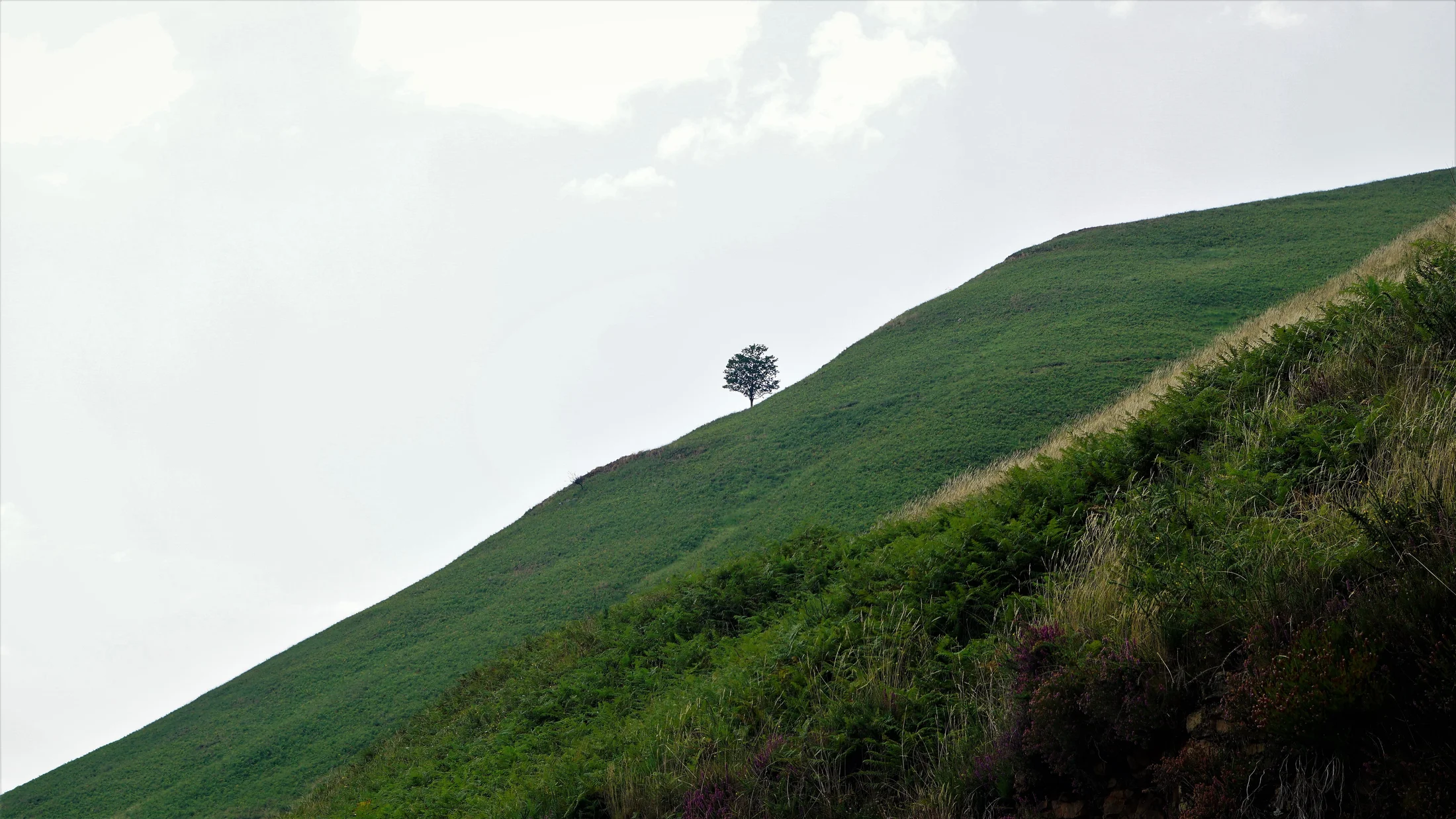 Imagen de Región: cmcncq0ug0hybzr5pk0yyr9bb