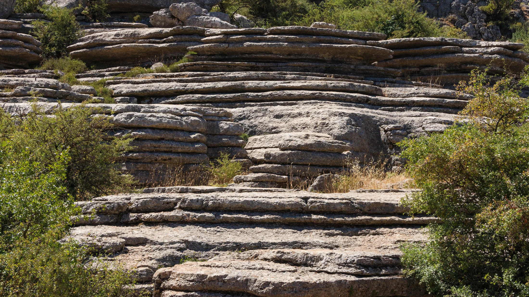 Imagen de Región: cmcjdd0hi0041ik8pu2it28yd