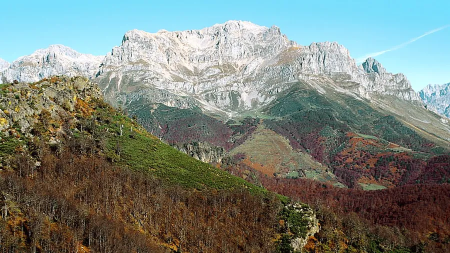 Oseja de Sajambre