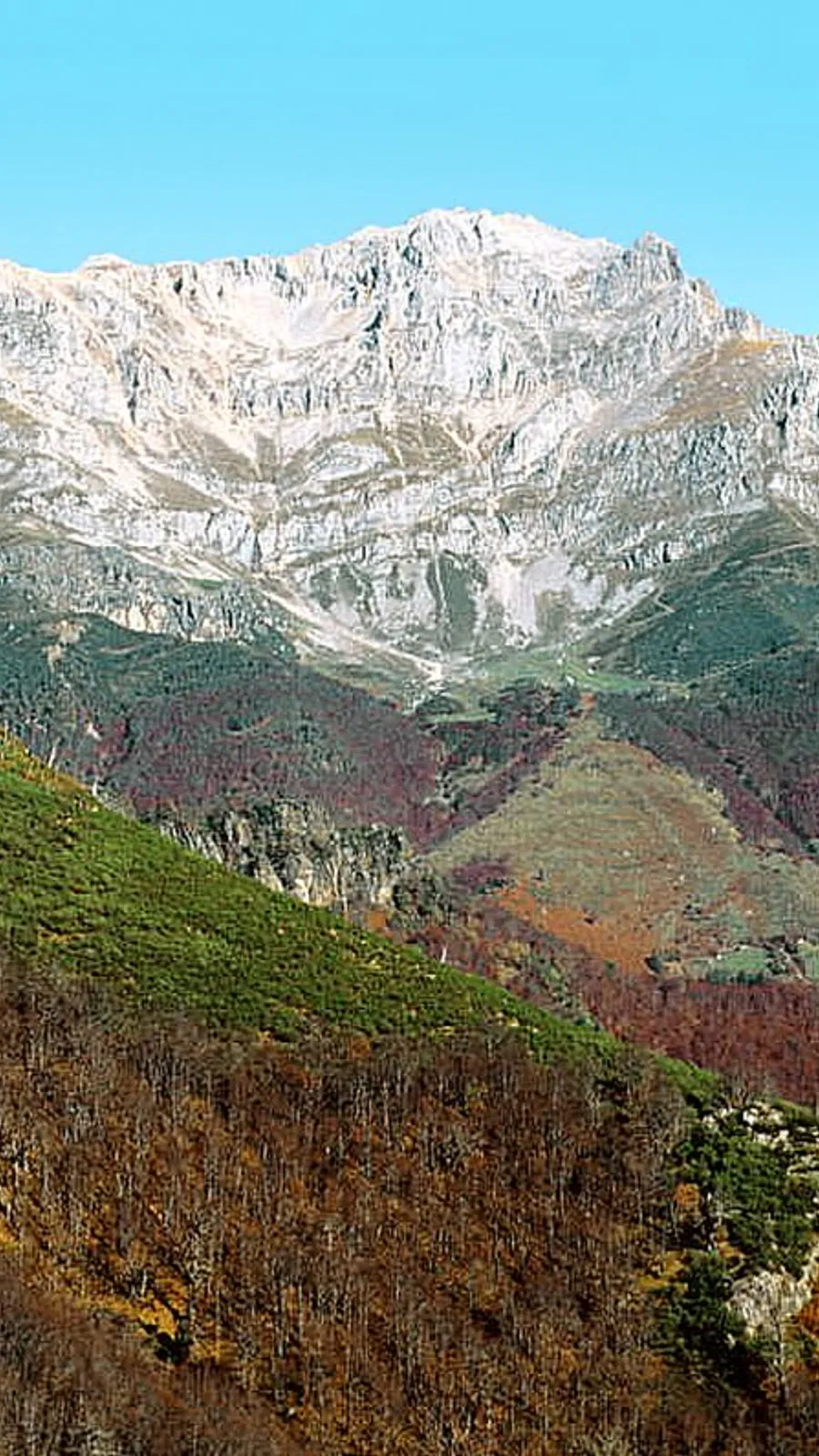 Oseja de Sajambre