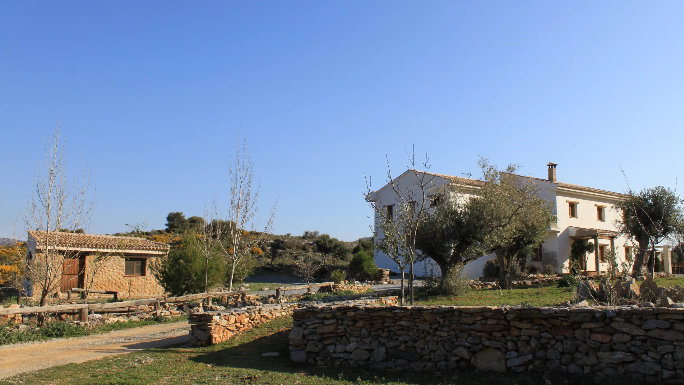 Imagen de Artículo de Blog: cmhyi1i1k0015cc879a0b704g