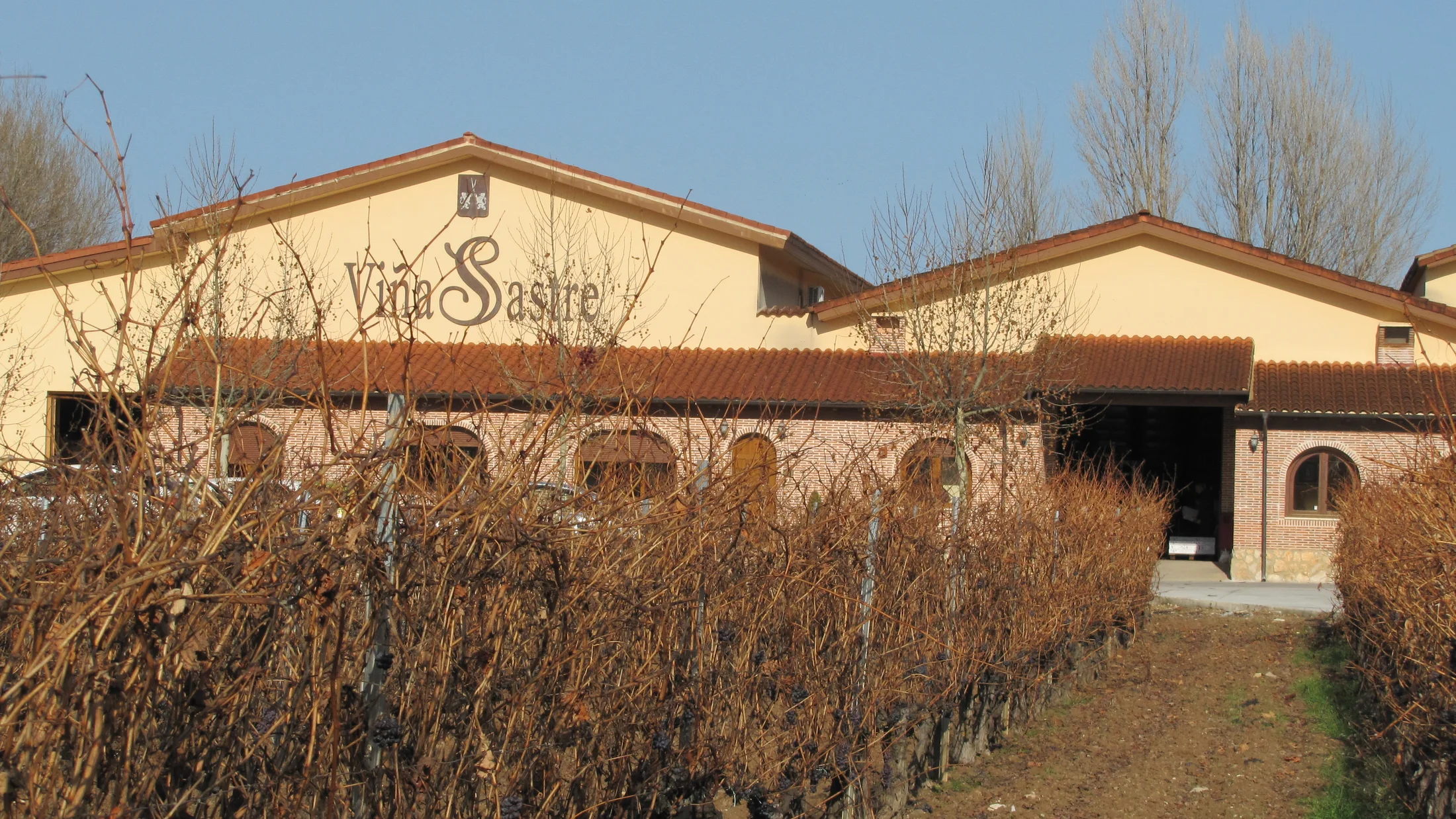 File:Viñedos Bodega Viña Sastre   Hermanos Sastre Ribera del Duero2.JPG