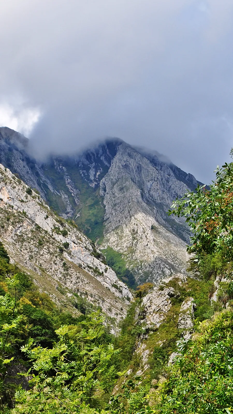 Desfiladero de los Beyos