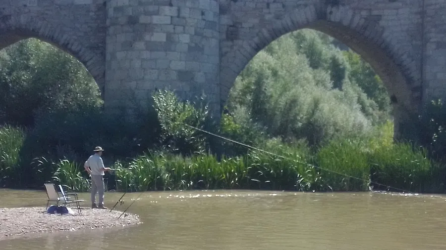 Cabezón de Pisuerga