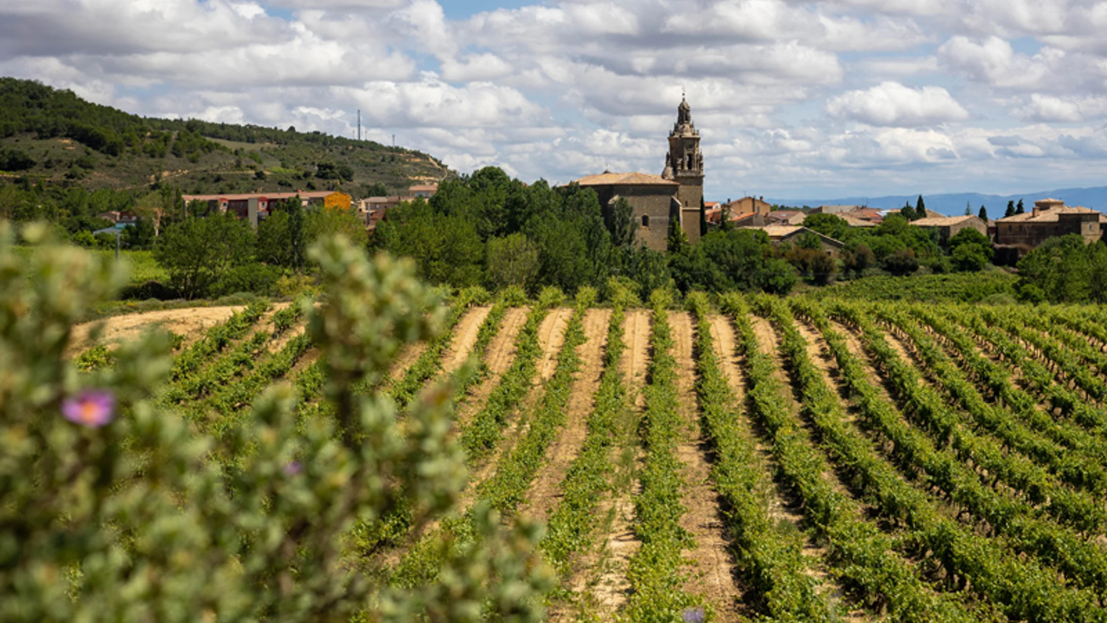 Imagen de Artículo de Blog: cmgz7t743007e9i0uq87j2kr8