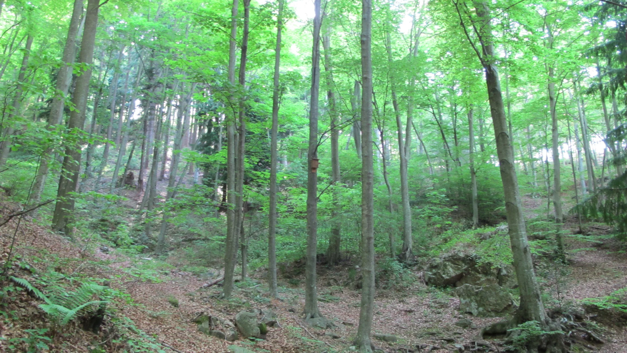 Imagen de Región: cmcja7agc0026phyjkllfg78r