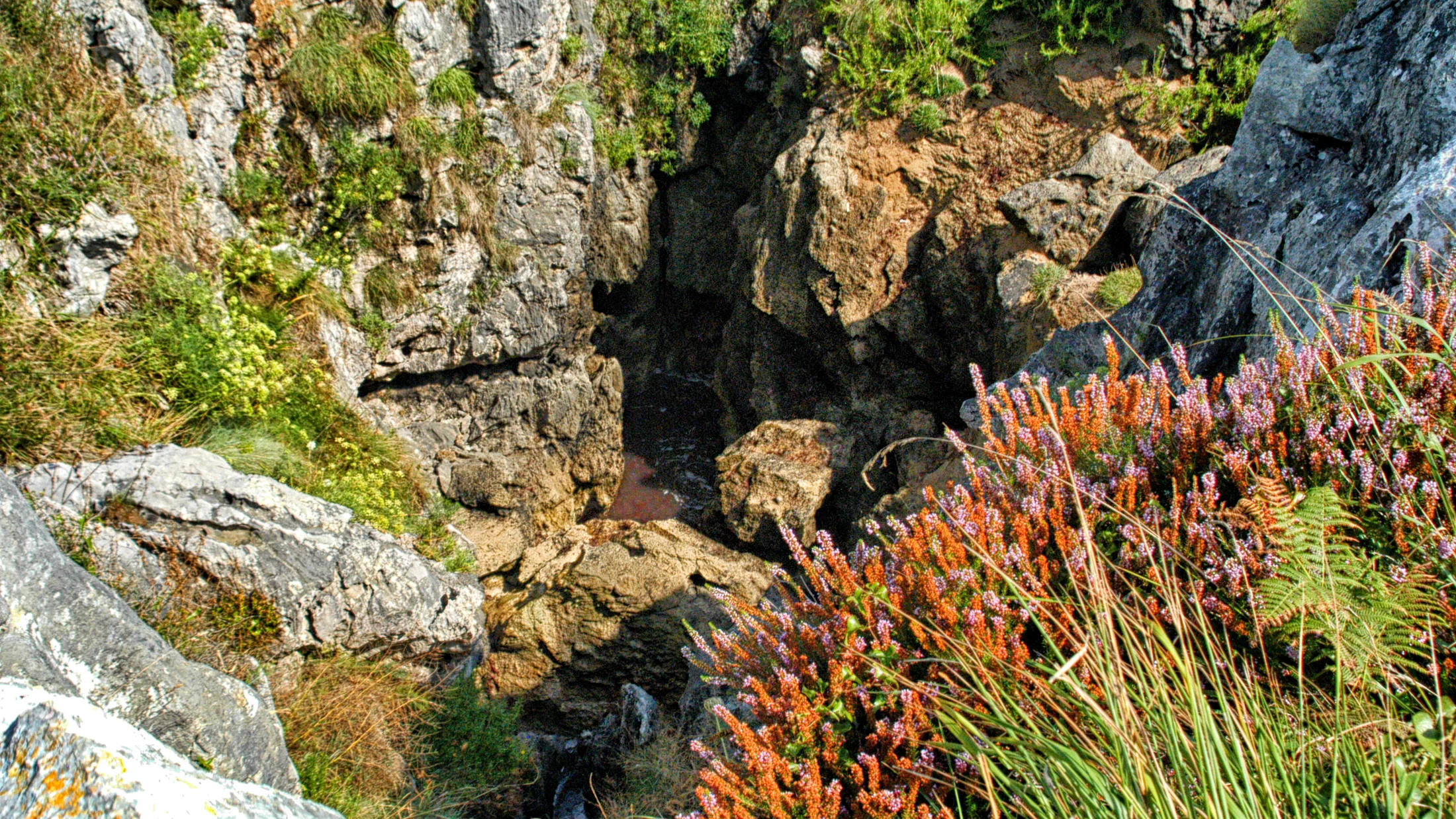 Imagen de Atracción: cmggzv6fo006ym3vs4297bo7y