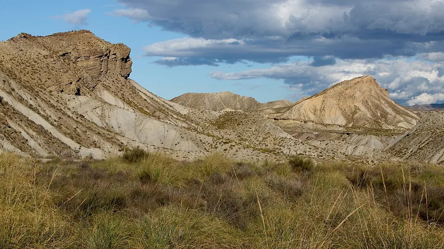 Tabernas