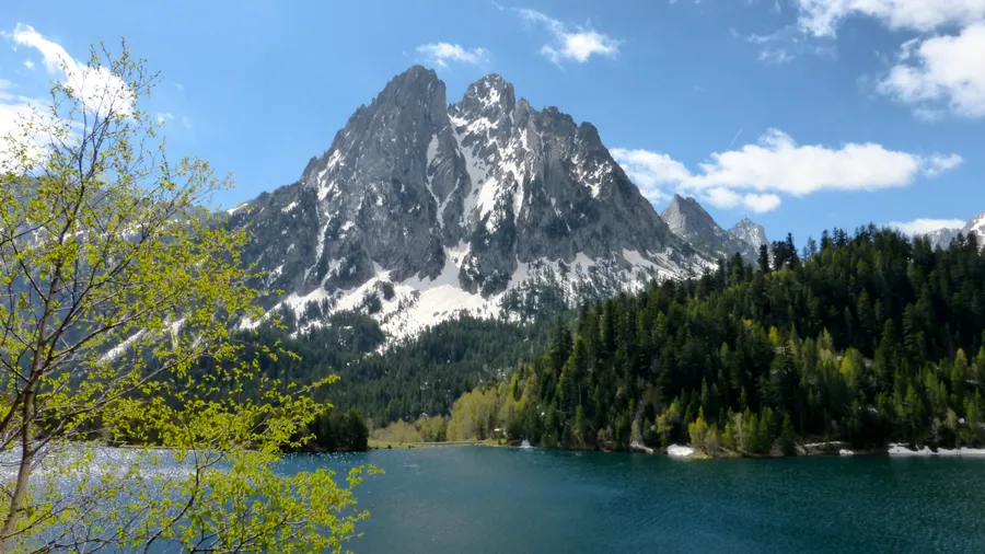 Imagen de Región: cmcjdddya0091ik8p8k4zlpt9